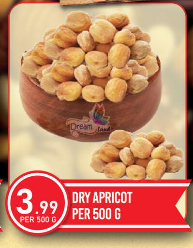 Apricot available at دريم لاند in الإمارات العربية المتحدة , الامارات - دبي