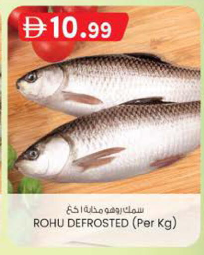 available at ك. الم. للتجارة in الإمارات العربية المتحدة , الامارات - أبو ظبي