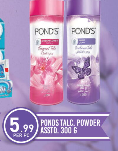 available at دريم لاند in الإمارات العربية المتحدة , الامارات - دبي