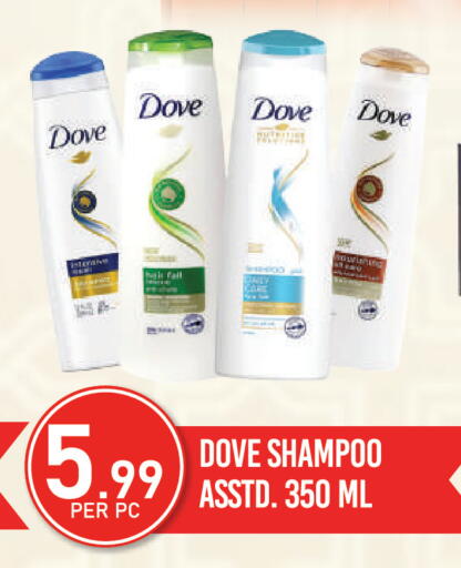 available at دريم لاند in الإمارات العربية المتحدة , الامارات - دبي