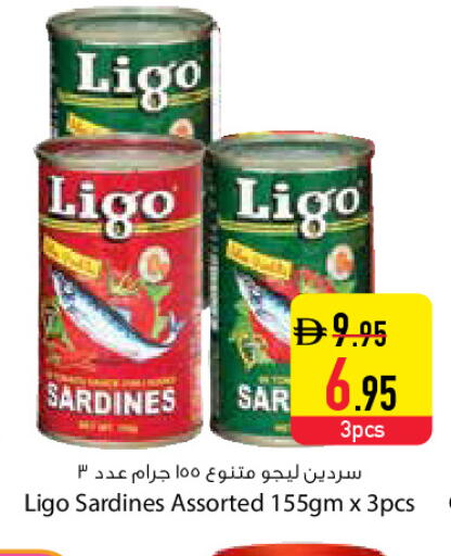 available at Safeer Market in UAE - Dubai