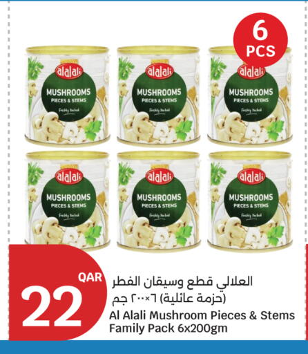 Mushroom available at سيتي هايبرماركت in قطر - الريان