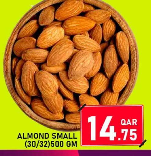 available at باشن هايبر ماركت in قطر - الشمال