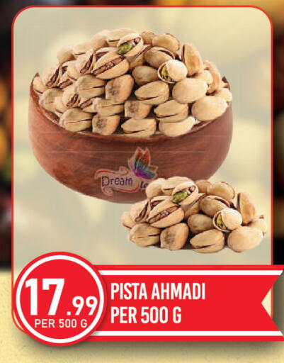 available at دريم لاند in الإمارات العربية المتحدة , الامارات - دبي