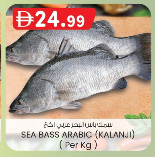 available at K.M Hypermarket in UAE - Al Ain