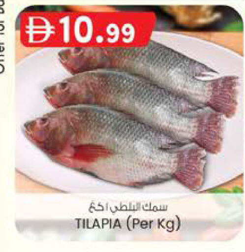 available at صفا هايبر in الإمارات العربية المتحدة , الامارات - ٱلْعَيْن‎