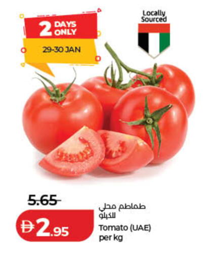 Tomato available at لولو هايبرماركت in الإمارات العربية المتحدة , الامارات - الشارقة / عجمان