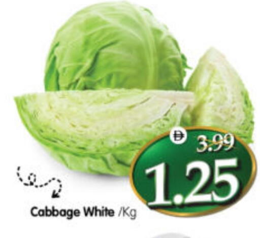 Cabbage available at هايبر ماركت المدينة in الإمارات العربية المتحدة , الامارات - أبو ظبي