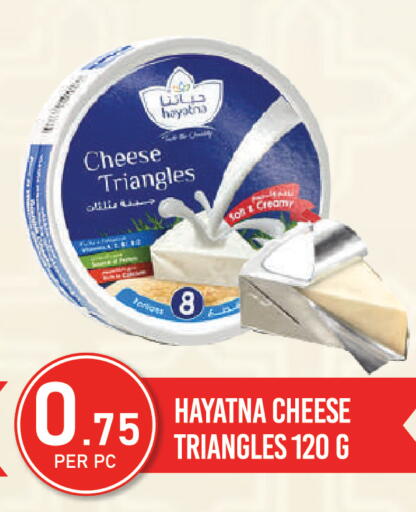 available at دريم لاند in الإمارات العربية المتحدة , الامارات - دبي