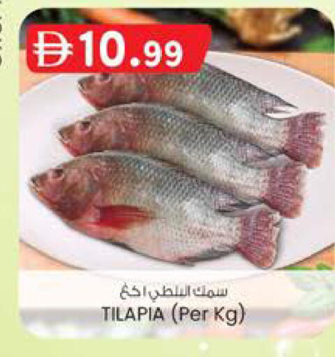 available at صفا اكسبريس سوبرماركت in الإمارات العربية المتحدة , الامارات - ٱلْعَيْن‎