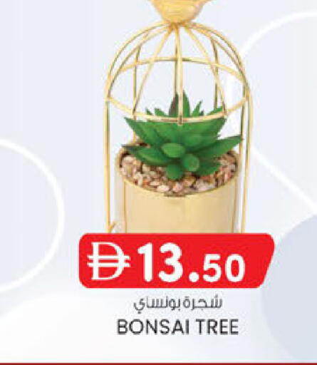 available at Al Safa in UAE - Abu Dhabi