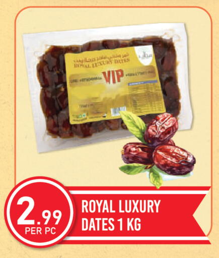 available at Dream Land in UAE - Dubai