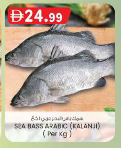 available at ك. الم. للتجارة in الإمارات العربية المتحدة , الامارات - أبو ظبي