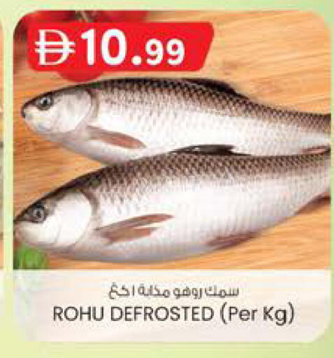 available at صفا اكسبريس سوبرماركت in الإمارات العربية المتحدة , الامارات - ٱلْعَيْن‎