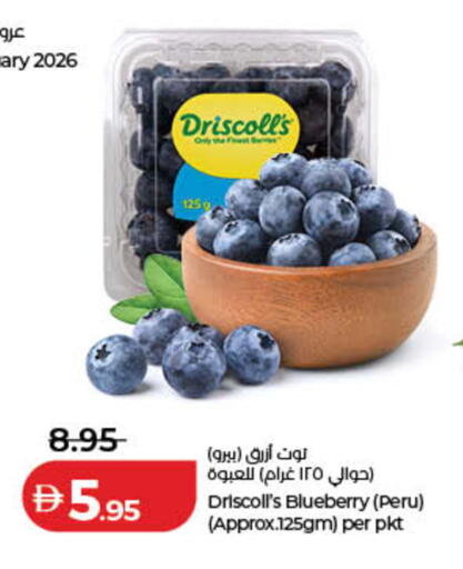 Blueberry BlueBerry available at لولو هايبرماركت in الإمارات العربية المتحدة , الامارات - الشارقة / عجمان