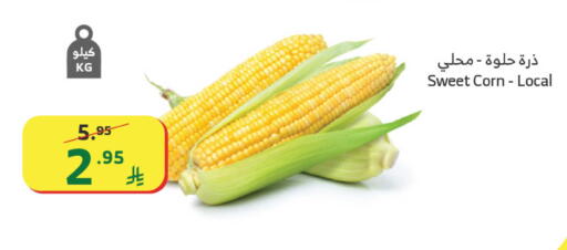 available at الراية in مملكة العربية السعودية, السعودية, سعودية - القنفذة