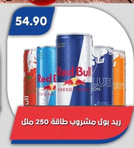 Blueberry BlueBerry available at باسم ماركت in Egypt - القاهرة