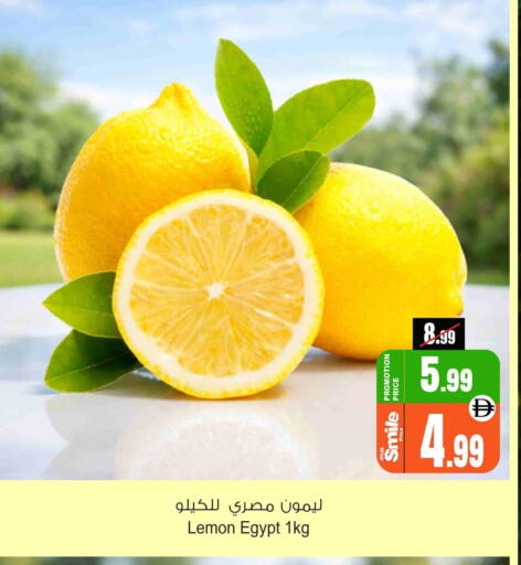 Lemon from Egypt available at Ansar Gallery in UAE - Dubai