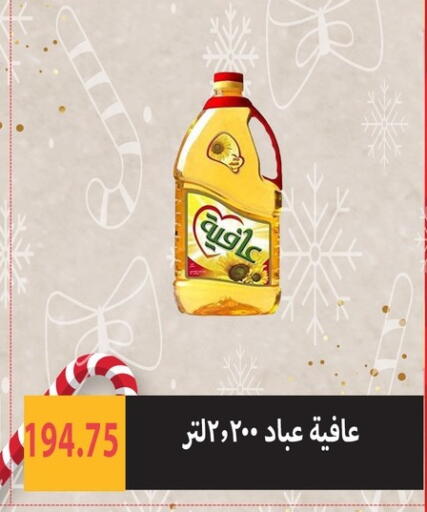 available at Hyper Samy Salama Sons in Egypt - Cairo