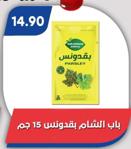 Parsley available at باسم ماركت in Egypt - القاهرة