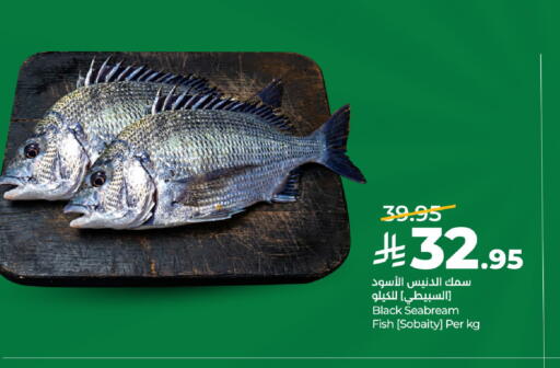 available at لولو هايبرماركت in مملكة العربية السعودية, السعودية, سعودية - تبوك