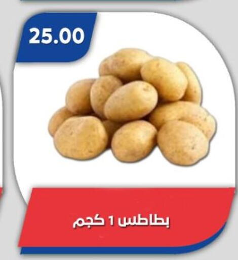 available at باسم ماركت in Egypt - القاهرة