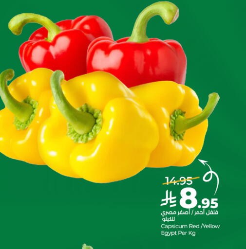 Capsicum from Egypt available at لولو هايبرماركت in مملكة العربية السعودية, السعودية, سعودية - الخبر‎