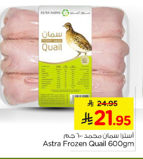 available at نستو in مملكة العربية السعودية, السعودية, سعودية - الخبر‎