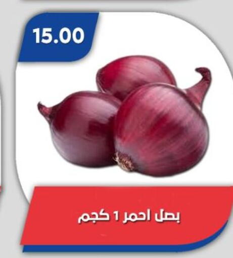 available at Bassem Market in Egypt - Cairo