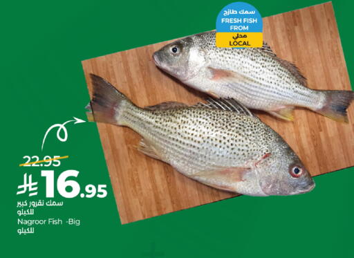 available at لولو هايبرماركت in مملكة العربية السعودية, السعودية, سعودية - الخبر‎