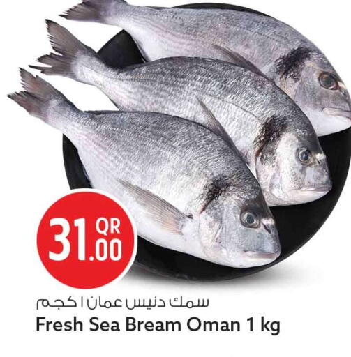 available at سفاري هايبر ماركت in قطر - أم صلال