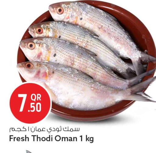 available at سفاري هايبر ماركت in قطر - أم صلال