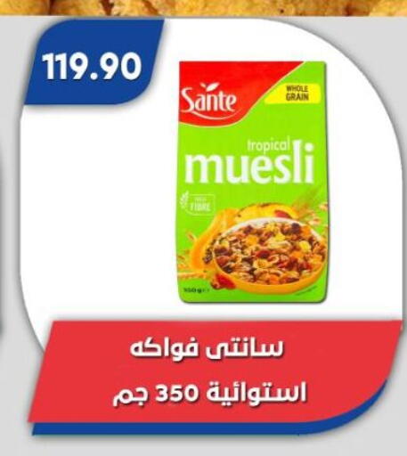 available at Bassem Market in Egypt - Cairo