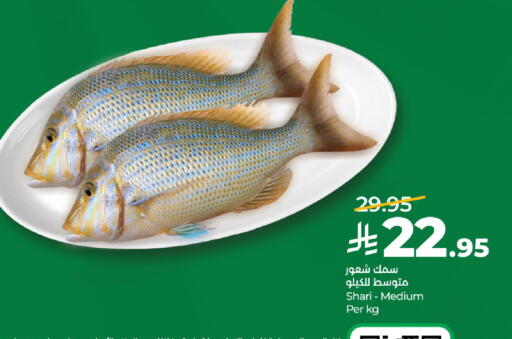 available at لولو هايبرماركت in مملكة العربية السعودية, السعودية, سعودية - تبوك