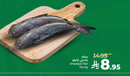 available at لولو هايبرماركت in مملكة العربية السعودية, السعودية, سعودية - تبوك