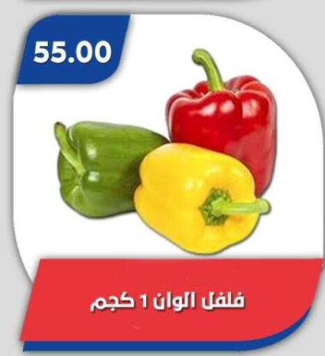 available at باسم ماركت in Egypt - القاهرة