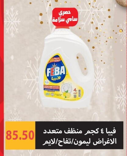 available at Hyper Samy Salama Sons in Egypt - Cairo