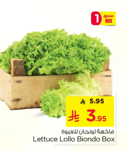 Lettuce available at نستو in مملكة العربية السعودية, السعودية, سعودية - الخبر‎