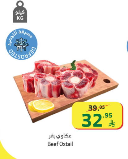 available at الراية in مملكة العربية السعودية, السعودية, سعودية - القنفذة