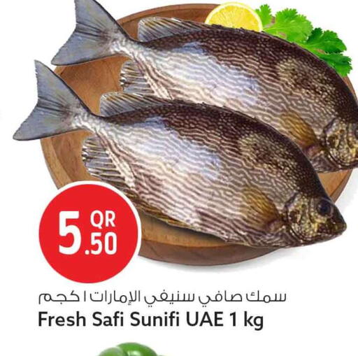 available at سفاري هايبر ماركت in قطر - أم صلال