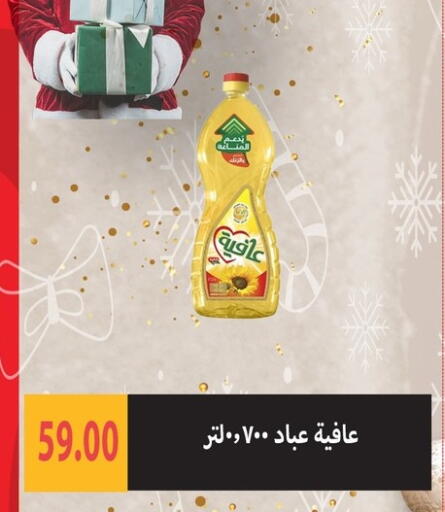 available at Hyper Samy Salama Sons in Egypt - Cairo