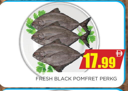 available at اينس المدينة هايبرماركت in الإمارات العربية المتحدة , الامارات - الشارقة / عجمان