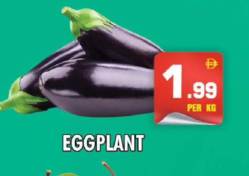Eggplant available at نايت تو نايت in الإمارات العربية المتحدة , الامارات - دبي