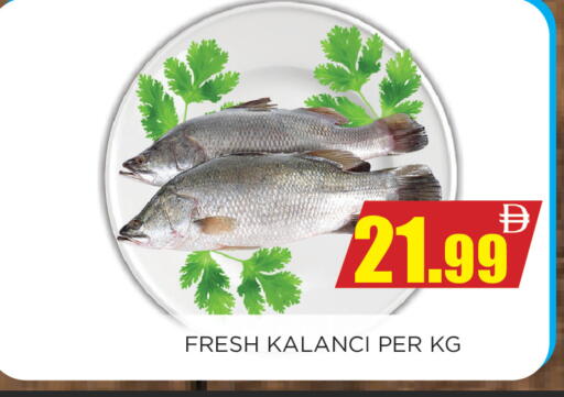 available at اينس المدينة هايبرماركت in الإمارات العربية المتحدة , الامارات - الشارقة / عجمان