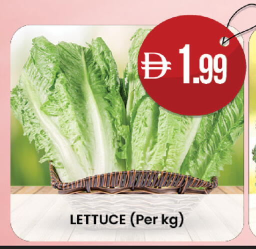 Lettuce available at ك. الم. للتجارة in الإمارات العربية المتحدة , الامارات - أبو ظبي