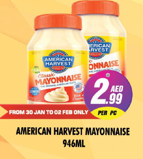 available at نايت تو نايت in الإمارات العربية المتحدة , الامارات - دبي