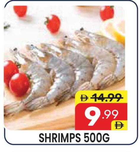 available at دريم نايت هايبرماركت in الإمارات العربية المتحدة , الامارات - دبي