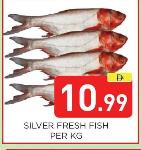 available at عين المدينة هايبرماركت in الإمارات العربية المتحدة , الامارات - الشارقة / عجمان