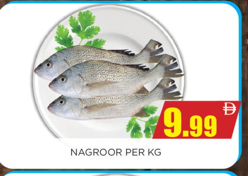 available at اينس المدينة هايبرماركت in الإمارات العربية المتحدة , الامارات - الشارقة / عجمان