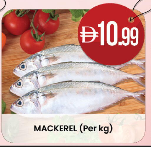 available at ك. الم. للتجارة in الإمارات العربية المتحدة , الامارات - أبو ظبي